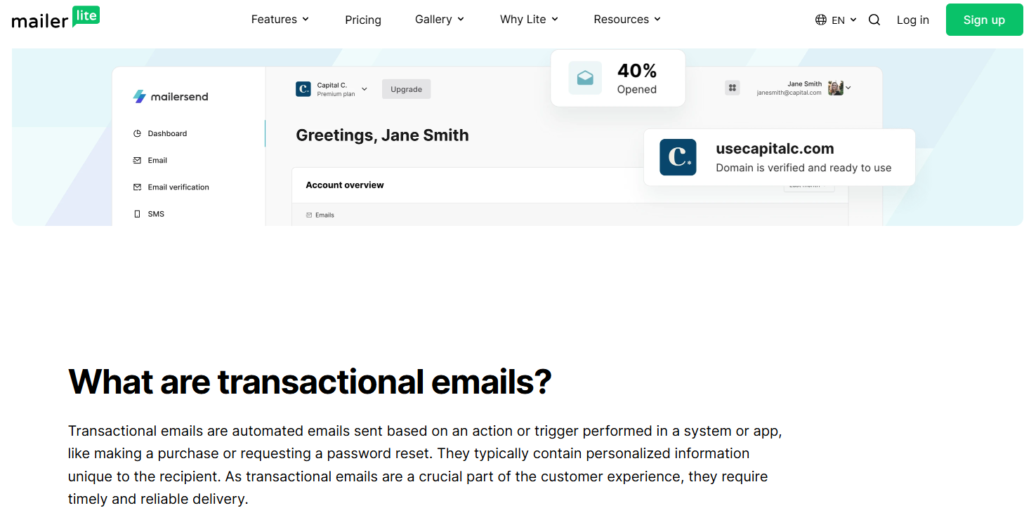 MailerLite user experience overview