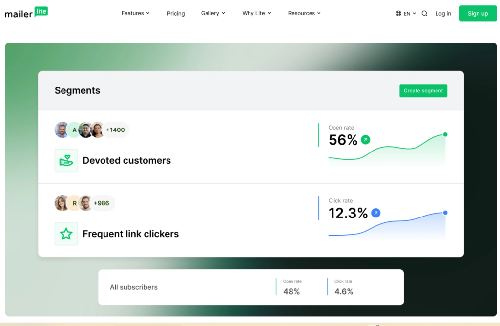 MailerLite audience segmentation tools
